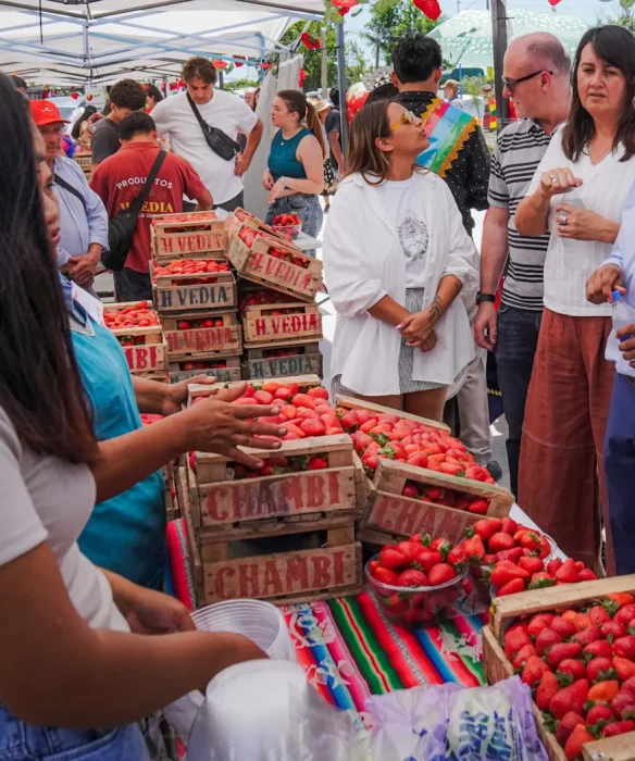Feria, venta de frutillas