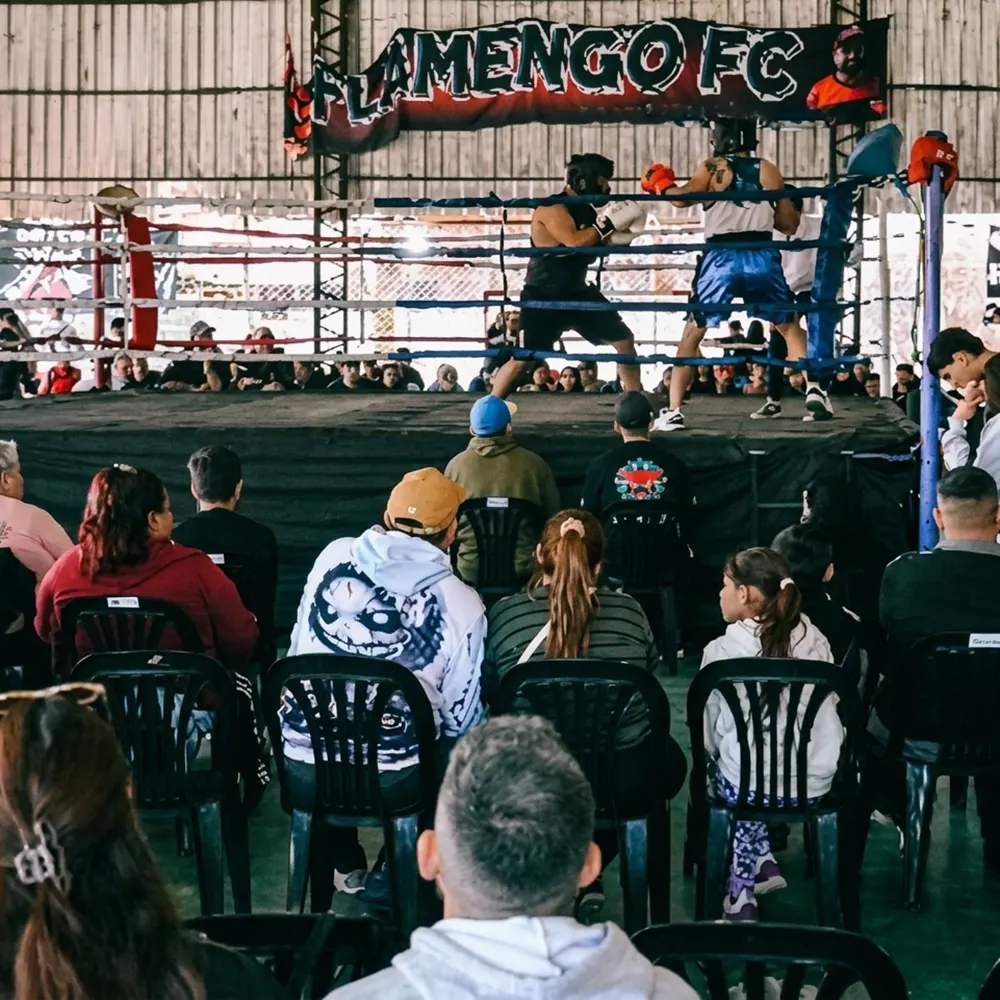 Boxeadores