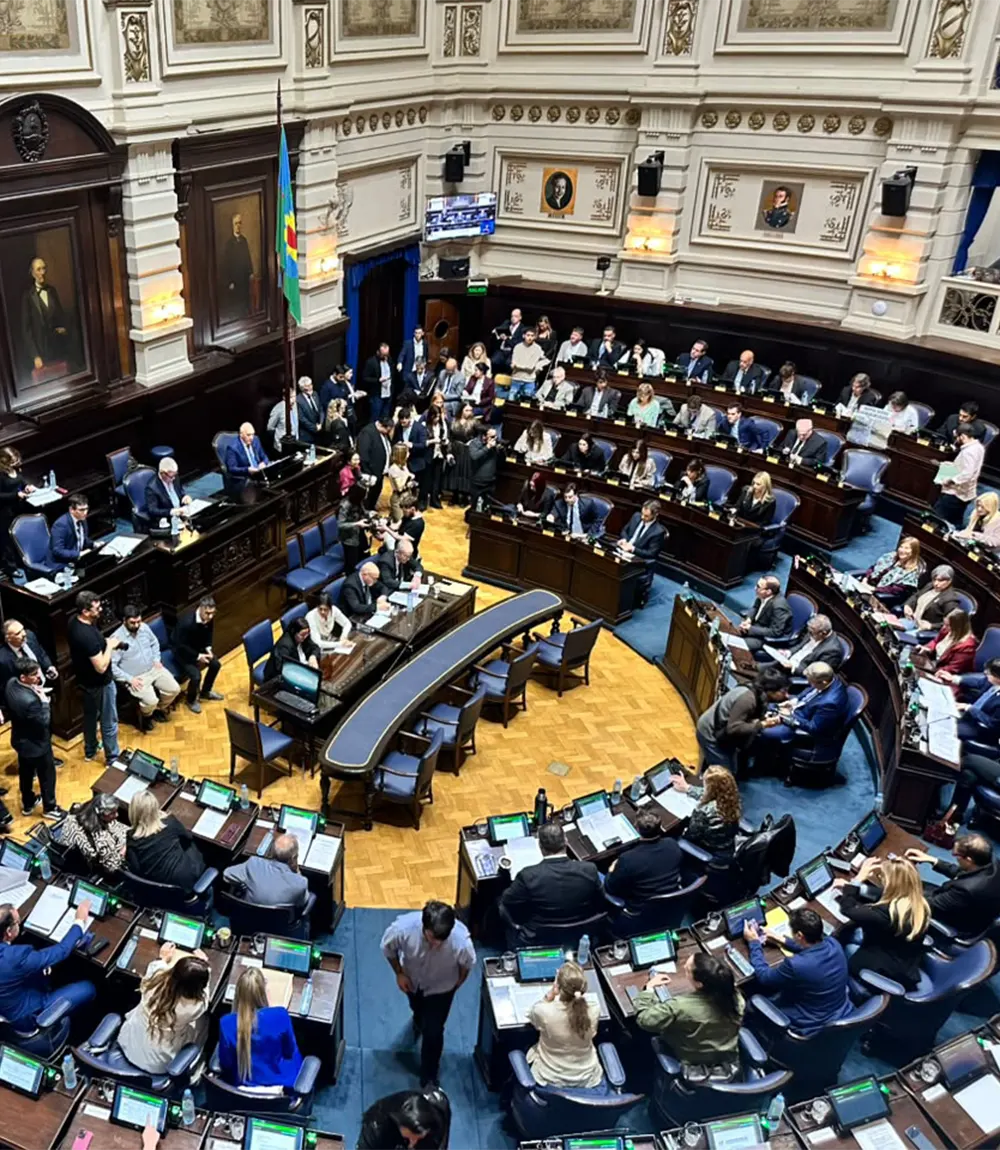 Sesión de la Cámara de Diputados vista desde un palco